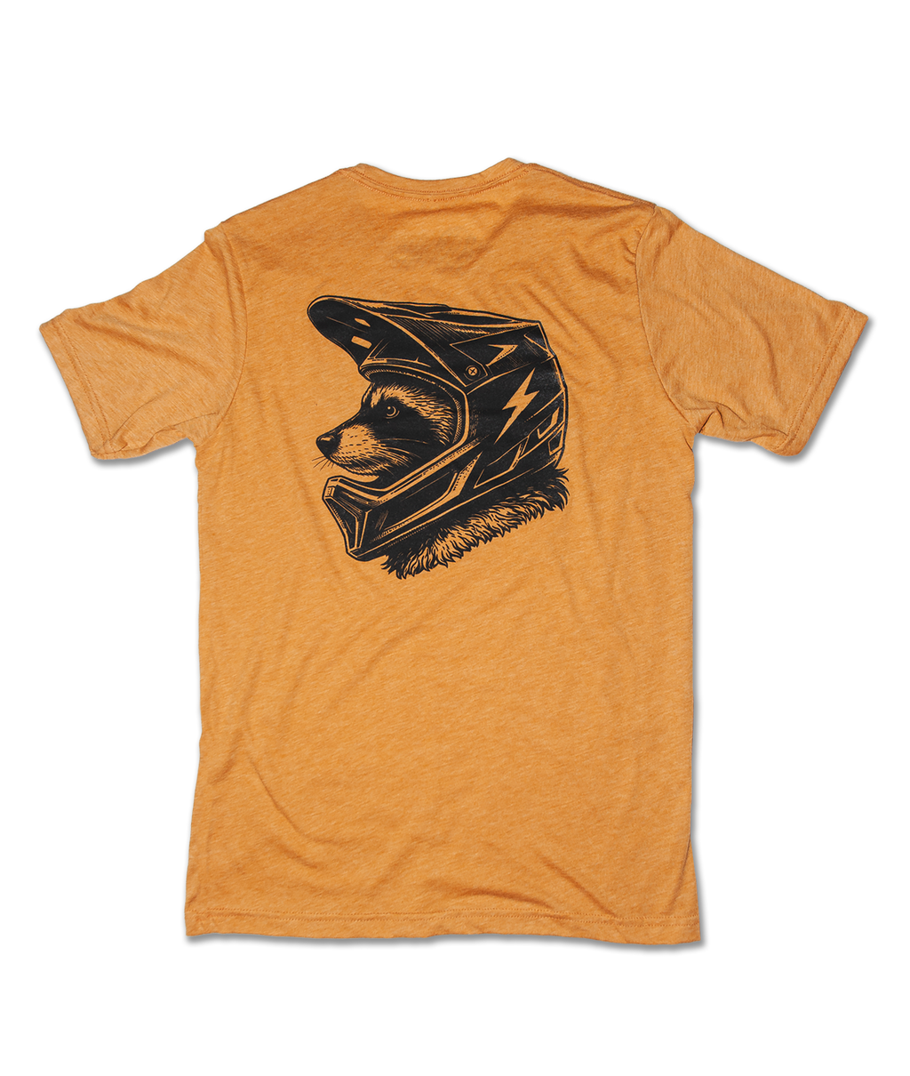 Raccoon Mountain (High Voltage)