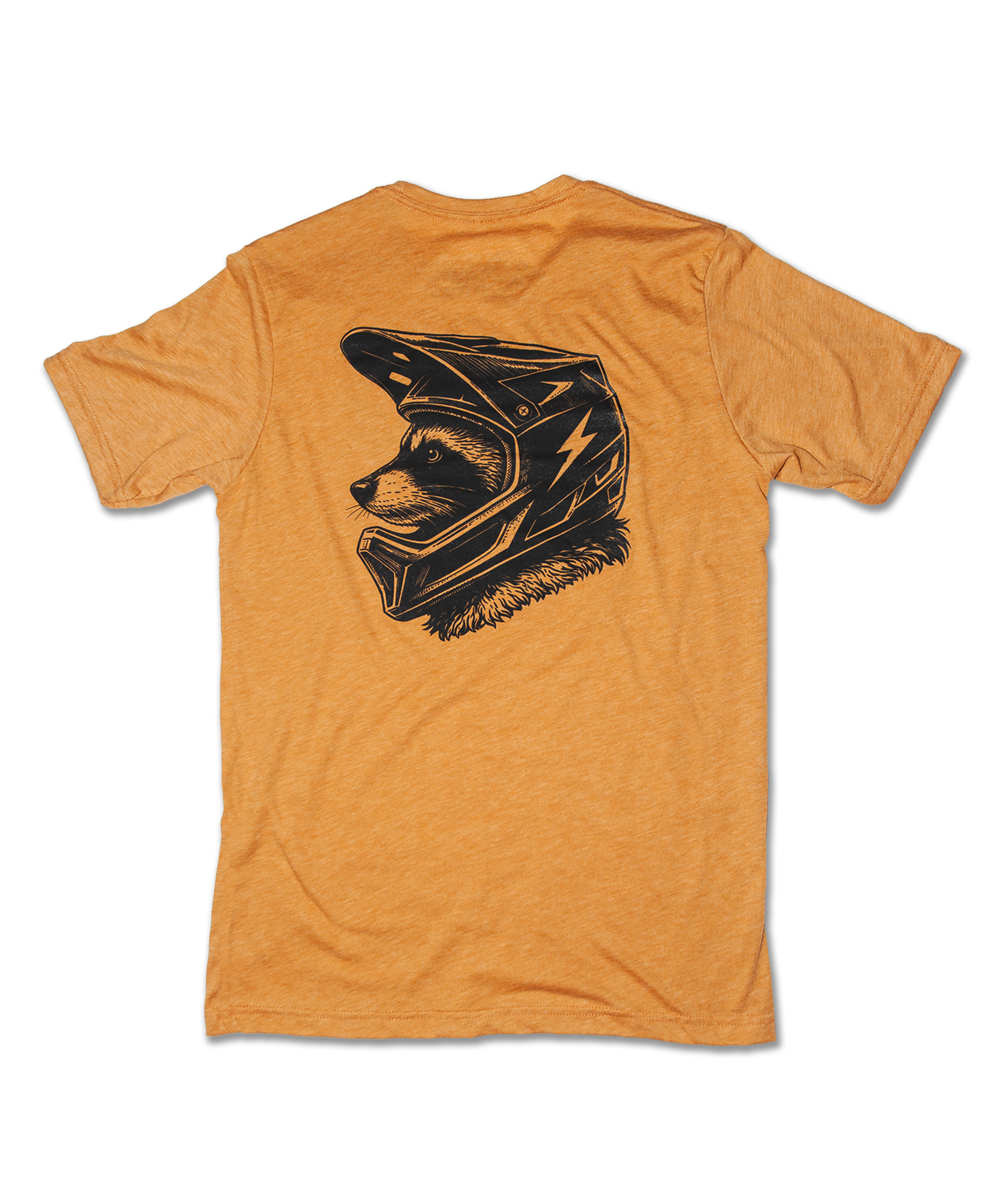Raccoon Mountain (High Voltage)