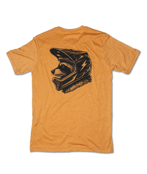 Raccoon Mountain (High Voltage)