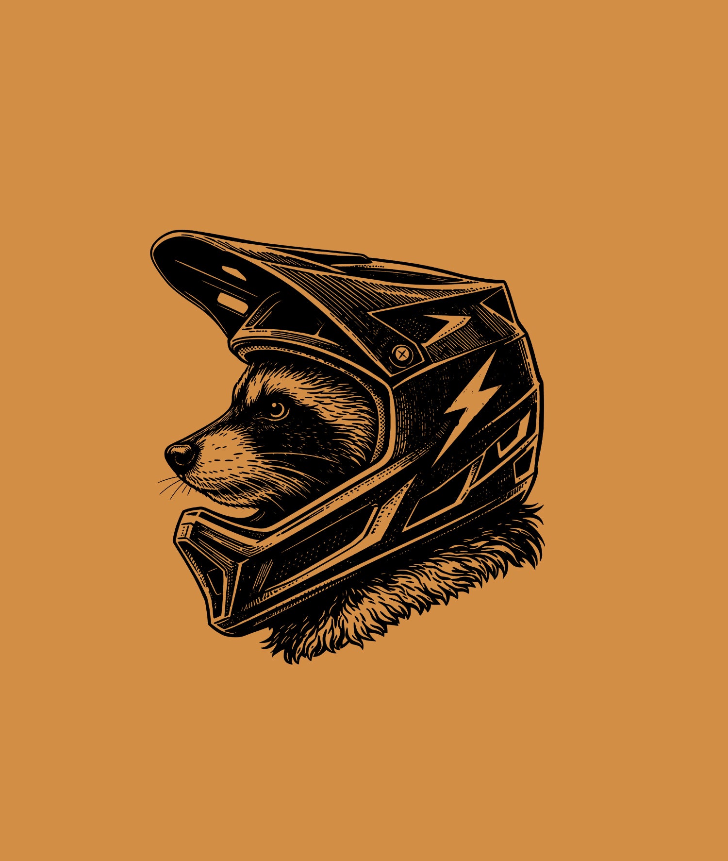 Raccoon Mountain (High Voltage)