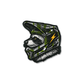 Raccoon Mountain - Helmet Sticker (Green)