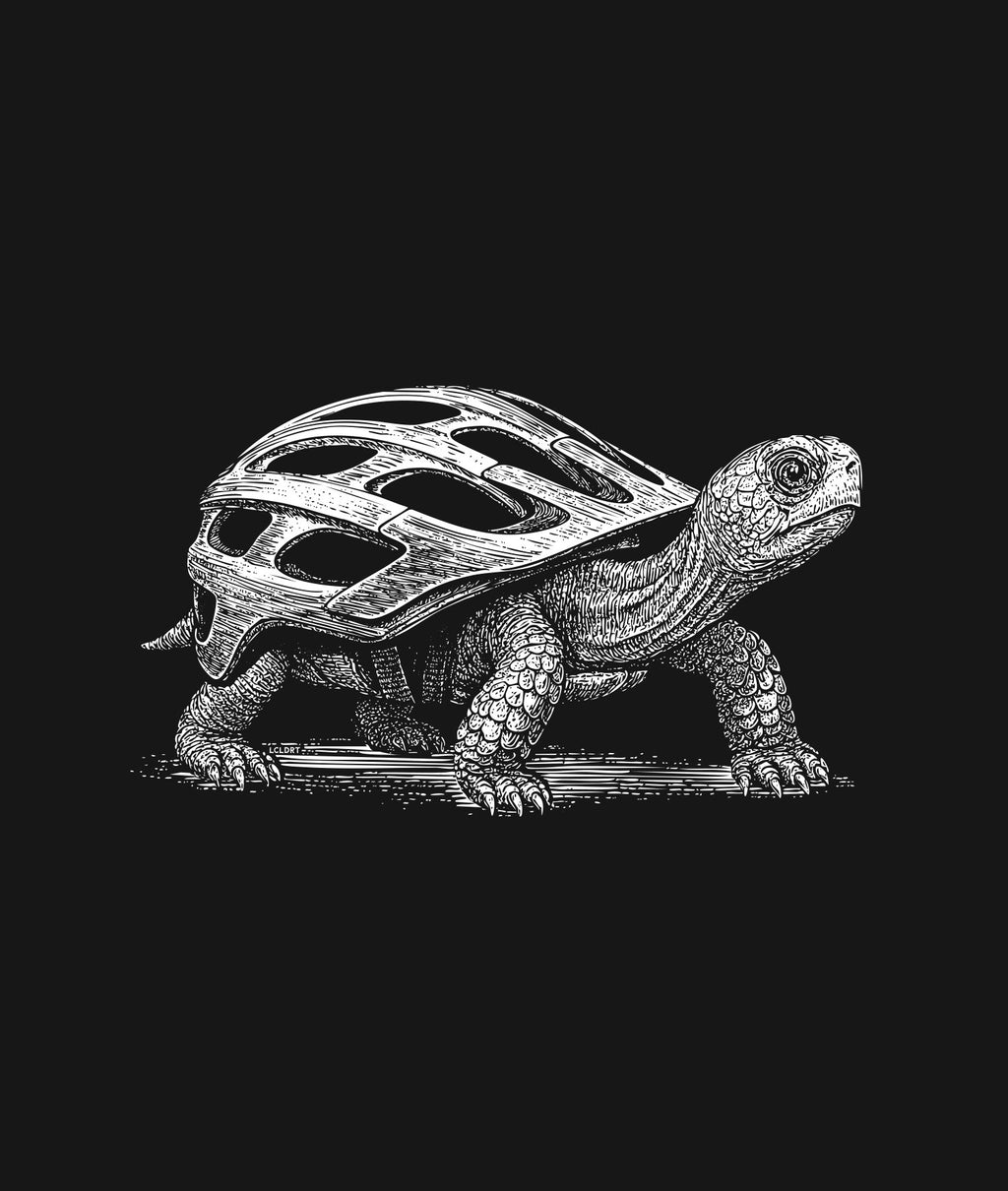 Turtle Shellmet (Black)