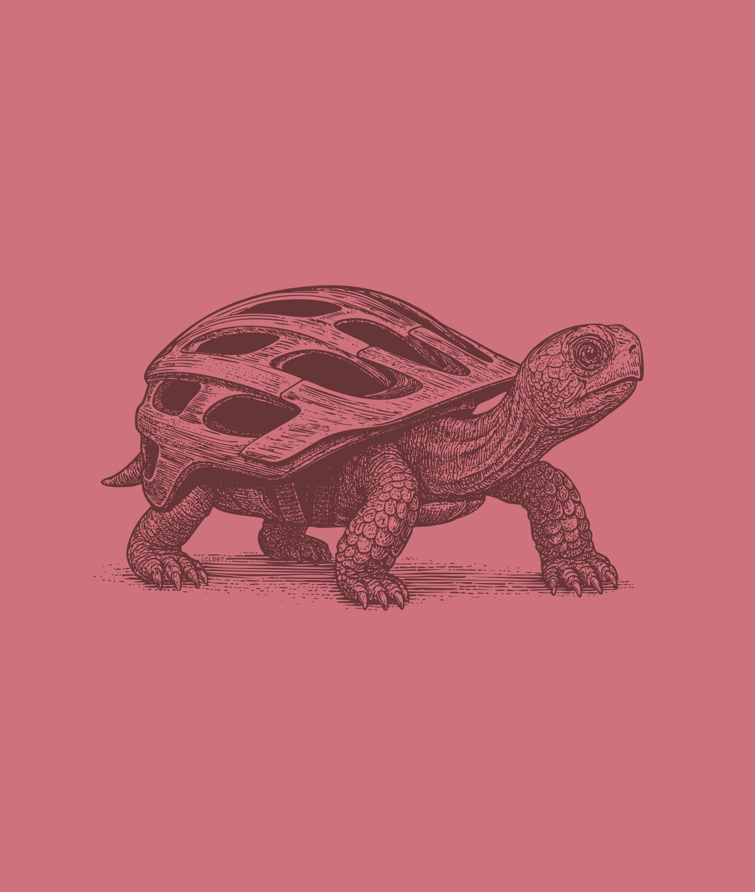 Turtle Shellmet (Mauve)