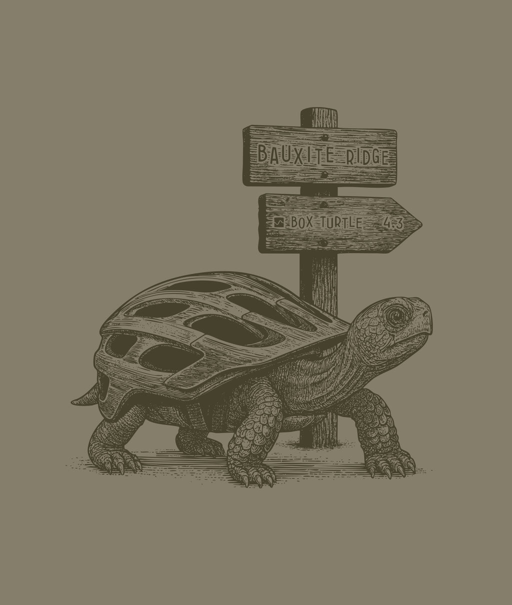 Turtle Shellmet Trailhead Tee