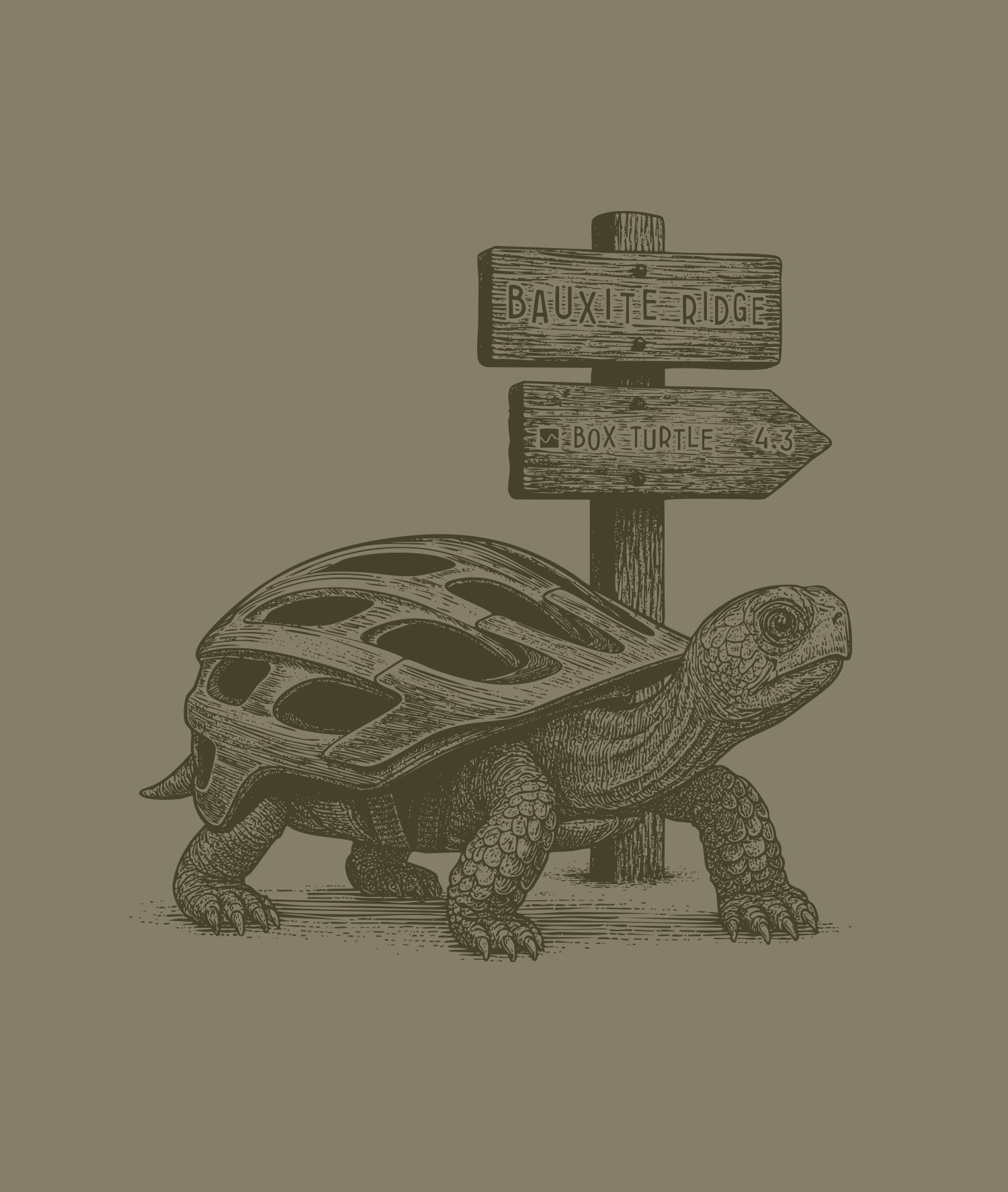 Turtle Shellmet Trailhead Tee