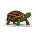 Turtle Shellmet Sticker